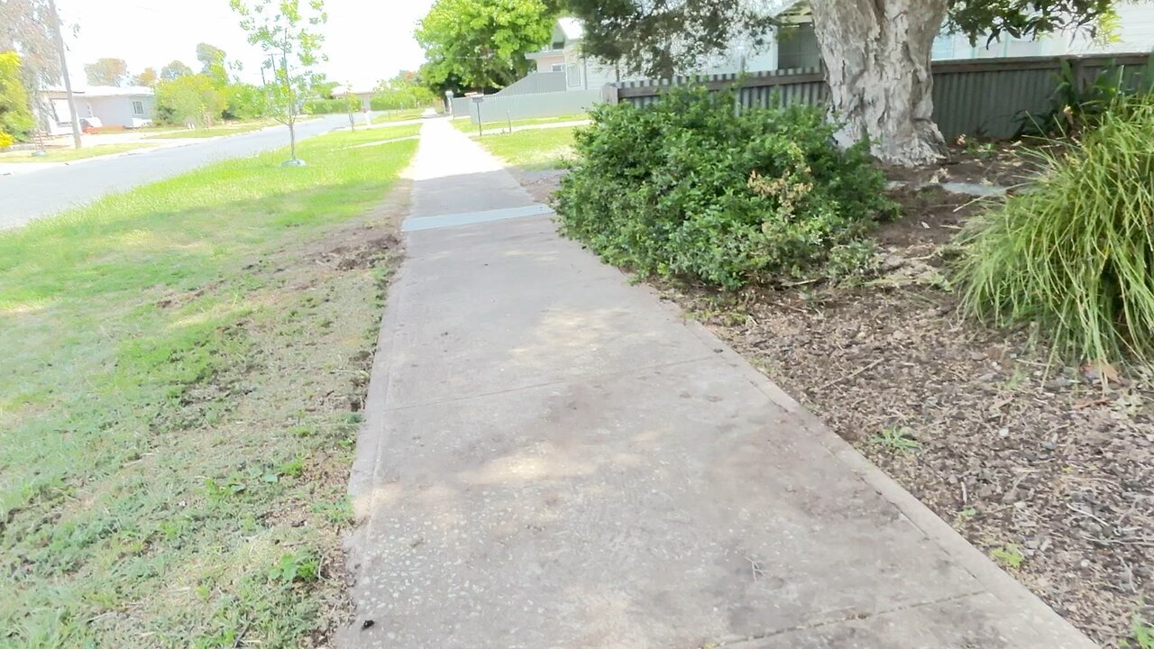 🌬️🙏🏻🐕❤️