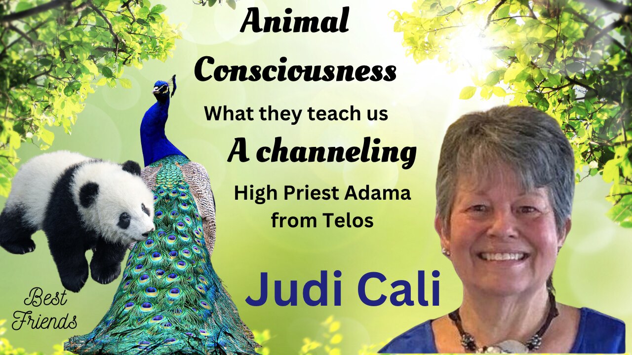 JUDY CALI, Animal Consciousness & High Priest Adama Channeling