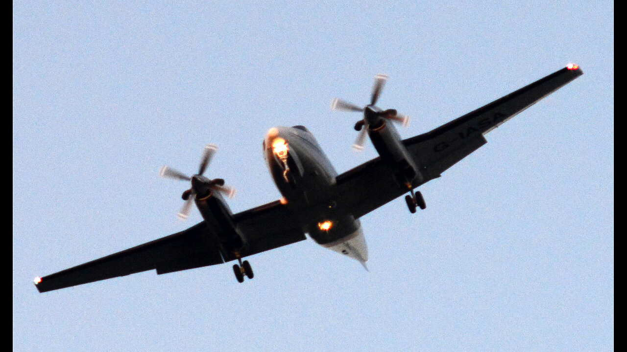 Winged flying monkeys nearly crashed into the bus unsafe fly reported