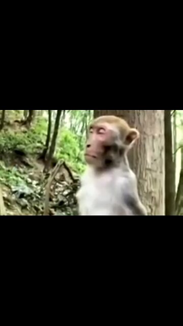 CAN WE BE SURE? DAILY DEVOTIONAL ❤️