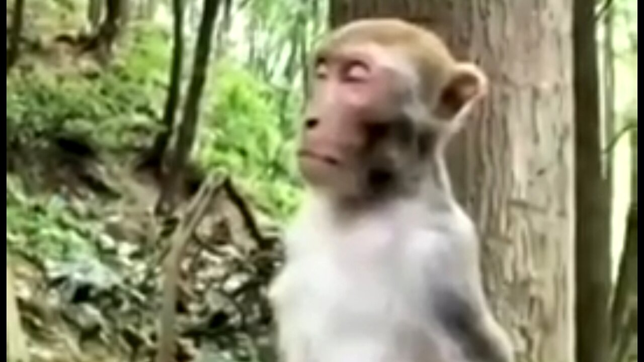 CAN WE BE SURE? DAILY DEVOTIONAL ❤️