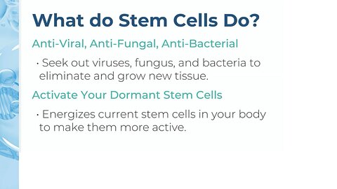 What Do Stem Cells Do?