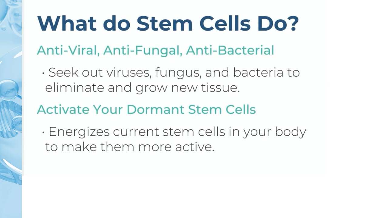 What Do Stem Cells Do?