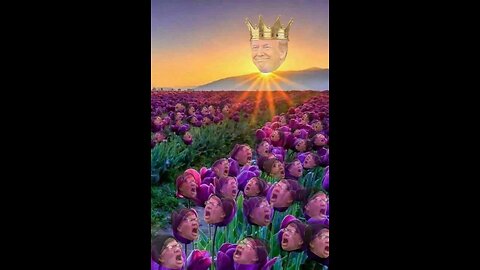 Trollin The Left Live Stream