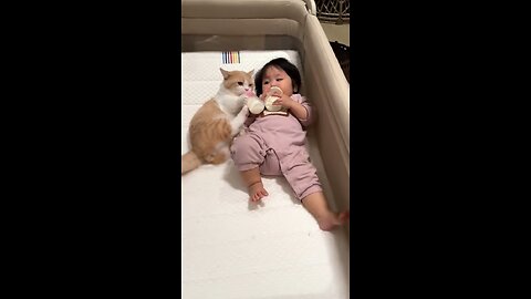 baby + kitty =
