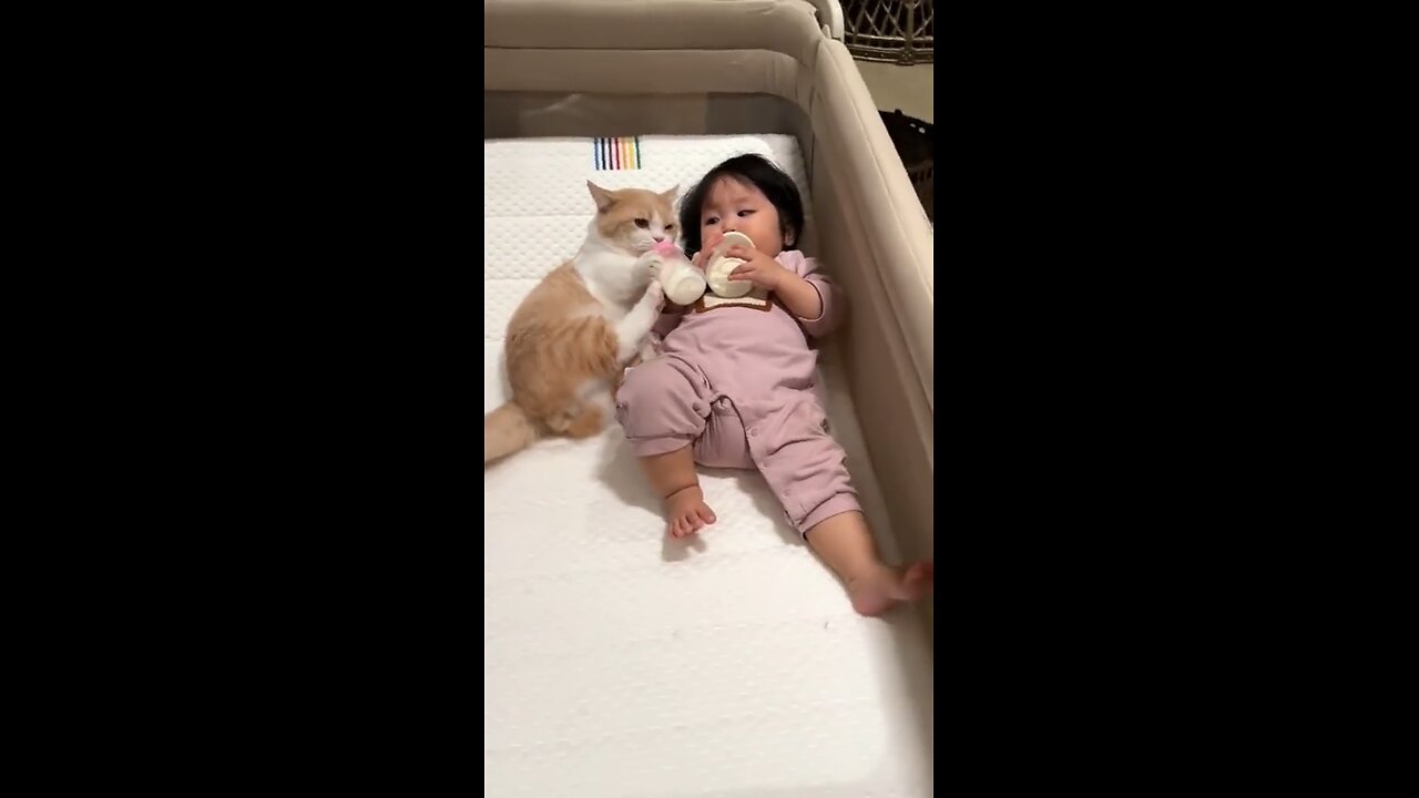 baby + kitty =