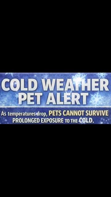 🚨Don’t You EVER Leave Animals Outside & Frozen! 🚨😭 #reaction #realtalk