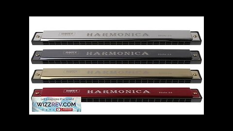 Professional 24 Hole Harmonica Mouth Metal Organ Beginners Musical Instruments Harmonica Review