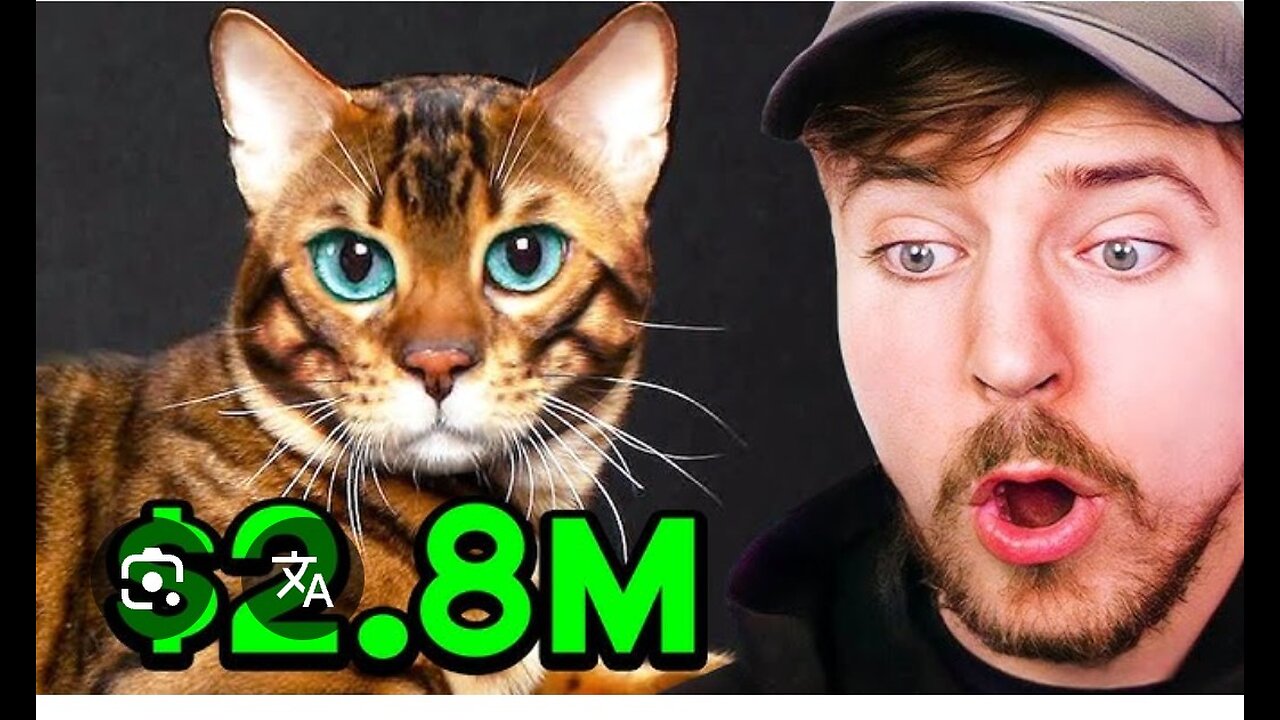 World's Cutest Animals! "UNBELIEVABLE MR BEAST CHALLENGE! 🤯😱 Watch What Happens