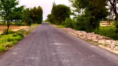 Village Life & Village Nature | Beautiful Rural Scenes of My Village | max RECORDS
