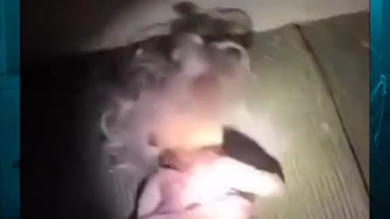 😨👁️ Did You See That? Unexplained Phenomenon Caught on Camera | TheHauntingHour