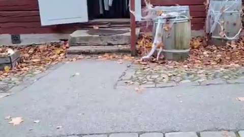 Fortfarande kvar I Wadköping och Predikar. 31 Okt. 2025