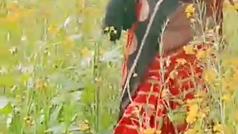 Badlel BA To Manva ke