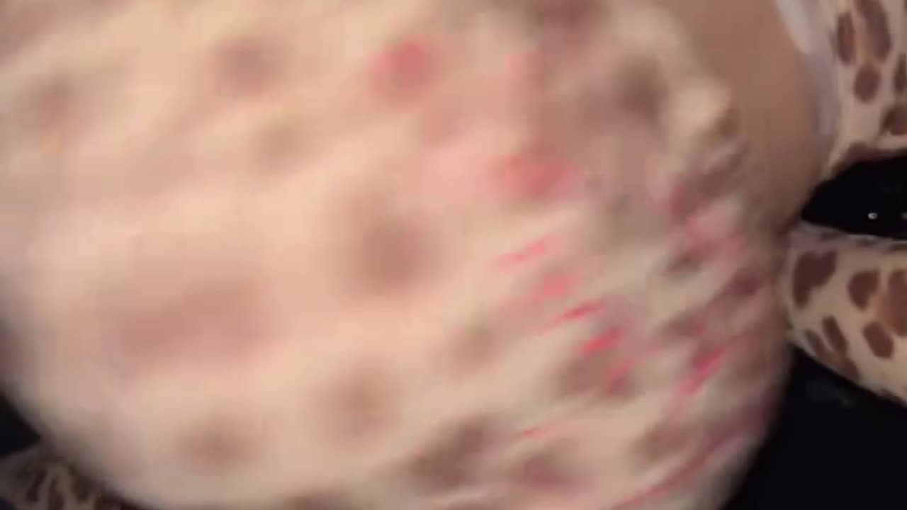 meldadel twerking n cheetah print