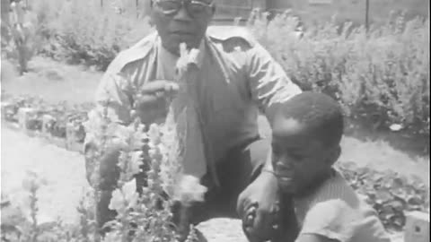 Apartheid in South Africa - Apartheid in South Africa - gov.archives.arc.649353