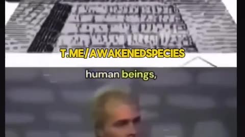 Music. This includes Colours Shapes Letters and Words.