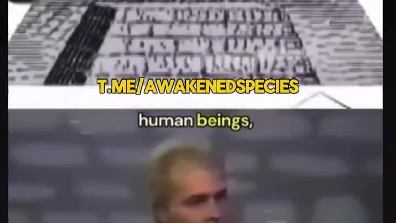 Music. This includes Colours Shapes Letters and Words.