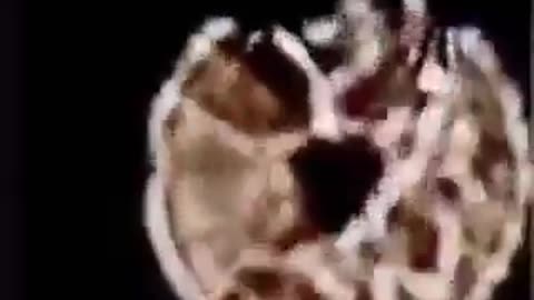 God’s Hand?