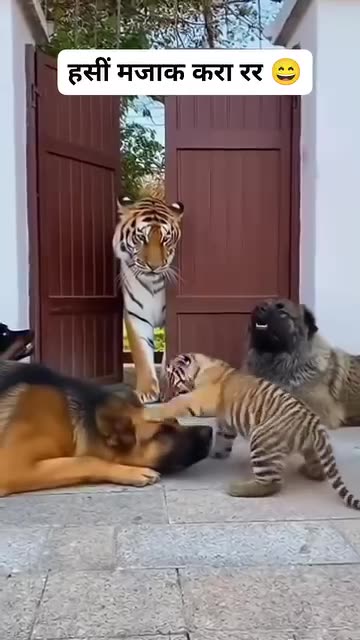 मजा लो 😄 #prahladrj44 #rj44 #काका_भतीजा_की_comedy #viralchallenge