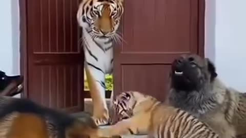 मजा लो 😄 #prahladrj44 #rj44 #काका_भतीजा_की_comedy #viralchallenge