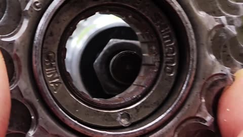 Install the freewheel on the bicycle wheel.