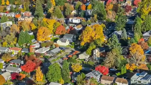 🧠 Neuro Rehab in Maple Ridge | Golden Maple Physiotherapy
