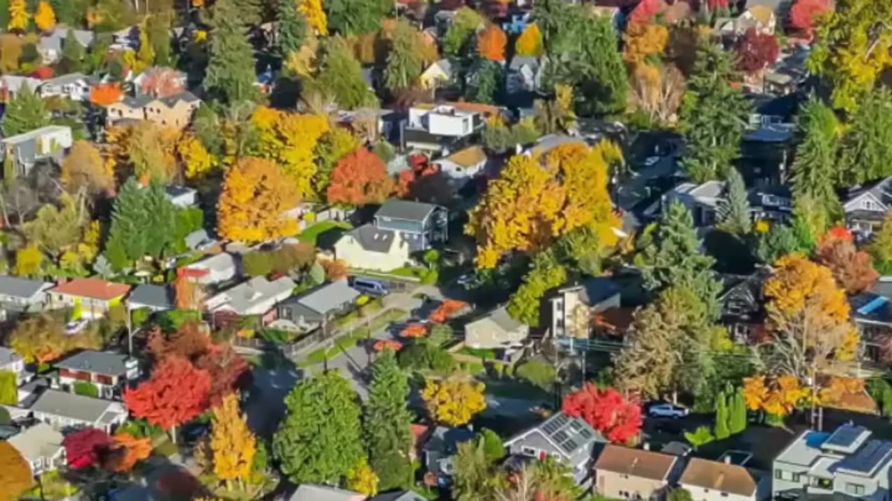 🧠 Neuro Rehab in Maple Ridge | Golden Maple Physiotherapy