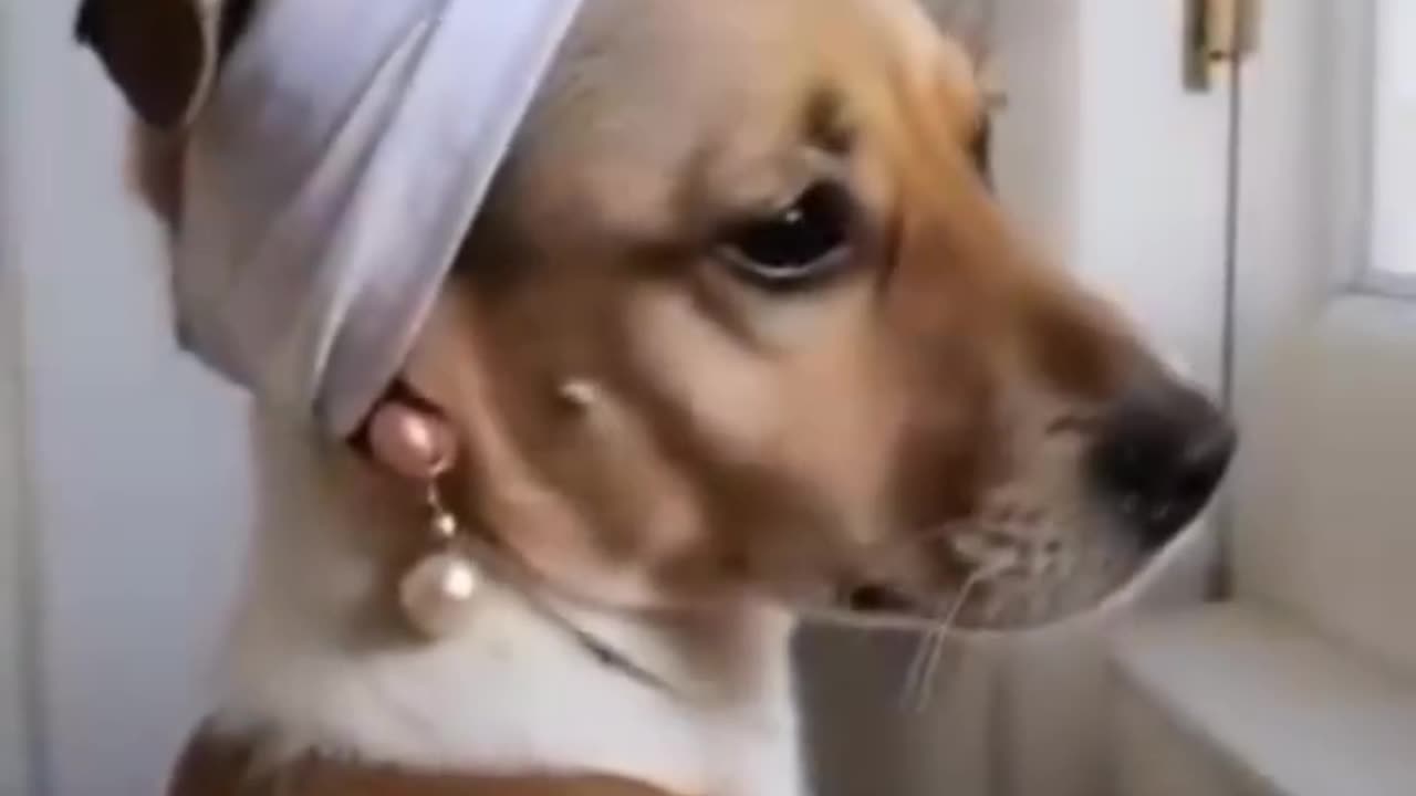 Let laugh small vivan🤣🤣🤣🤣