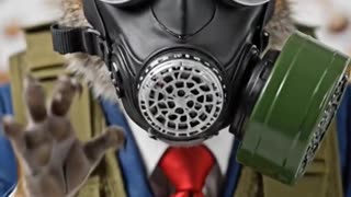 The Bringer of Peace #22