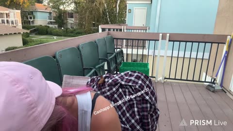 10/08/25 Vegan Patriot VOD: "VLogsToMakeYourBlogsBleedTo #tbh"