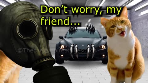 When a Cat is Helped by his Neighbor to Transform Into a Superhero (Ep.98)