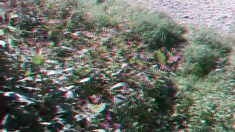 Weg zur Traun in 3D