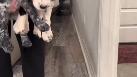 Woe Day 123. I am in the ark. Waiting for GOD to open the Door for a spring/summer Pentecost rapture