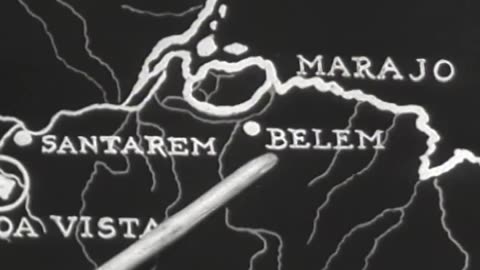 Ford Brazil - Ford Brazil - fc-fc-1817