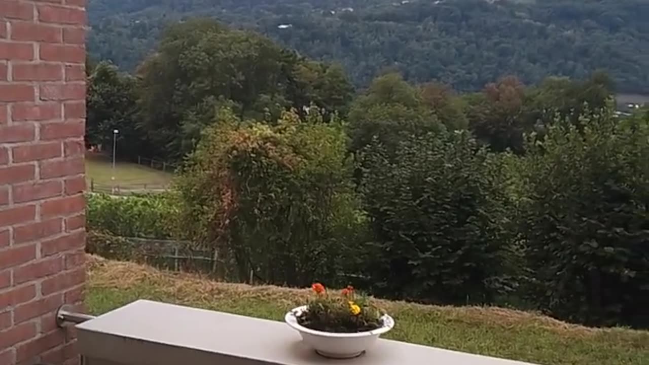 Flugzeug landet in Logano
