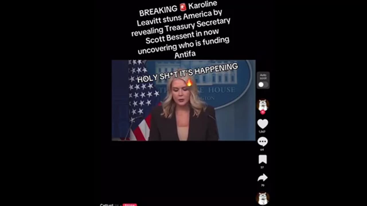 Leavitt - Antifa Money ..