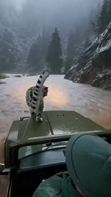 Black Panther Asks Police Officer for Help in the Storm! 🖤