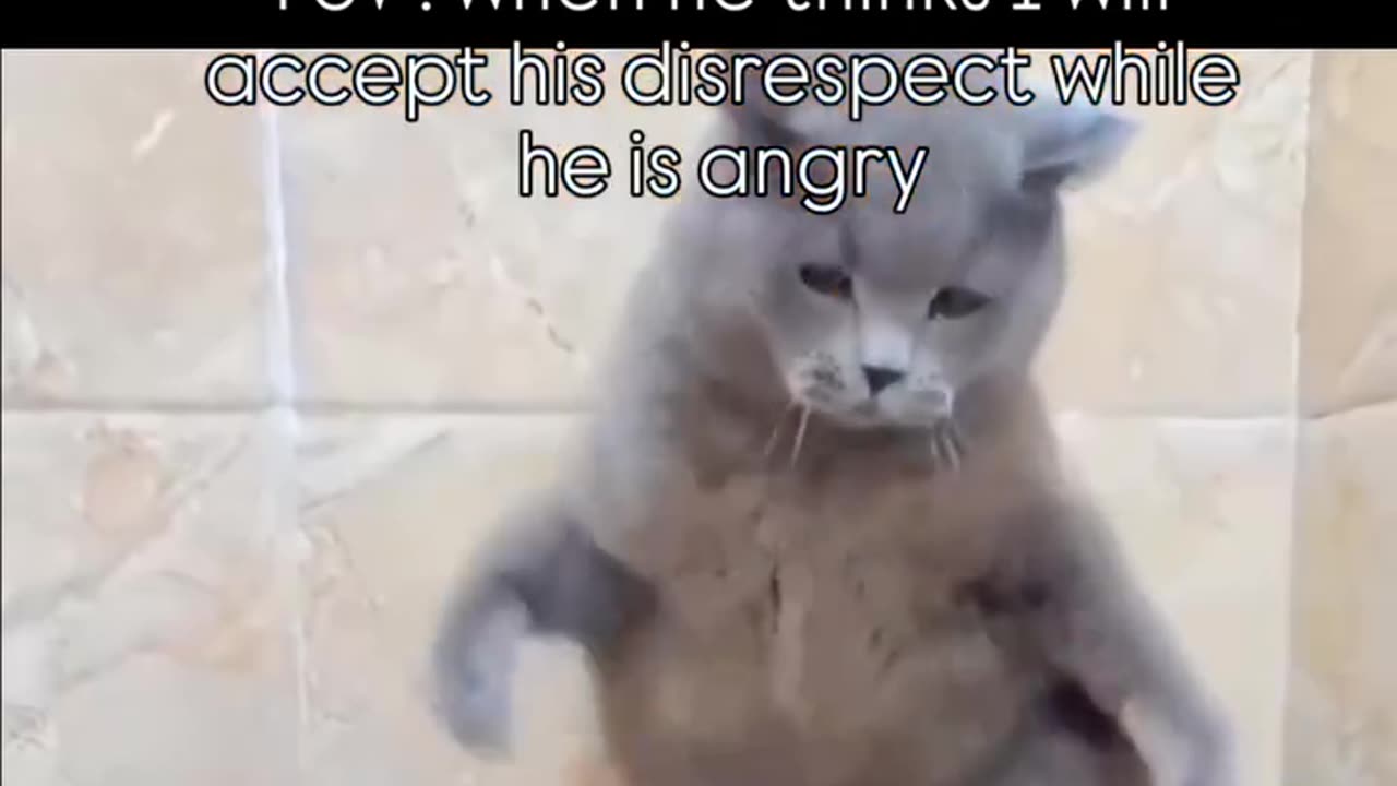 When he thinks i will accept his disrespect