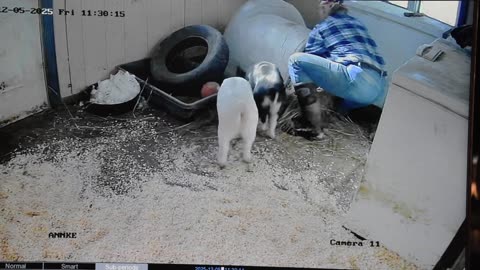 Becky and Morgana helping to clean their room PT 2