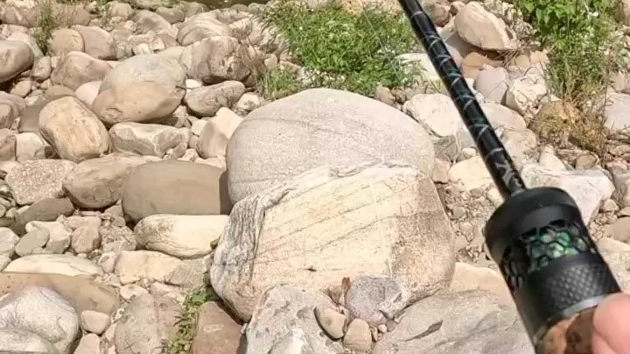 Big Fish in a Small Stream? Incredible Lure Fishing Adventure!
