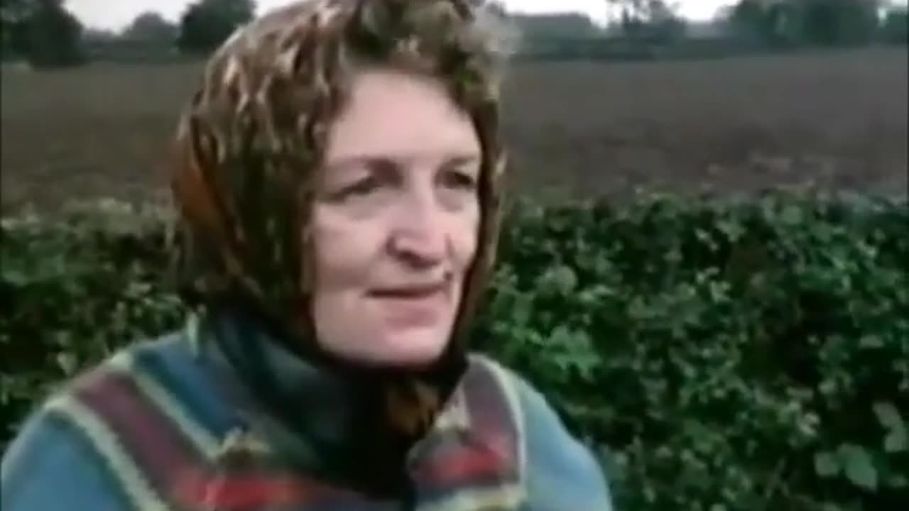 👽📽️ 1954 Nordic Experience Detailed in 1970s Interview! | TheTruthAbove