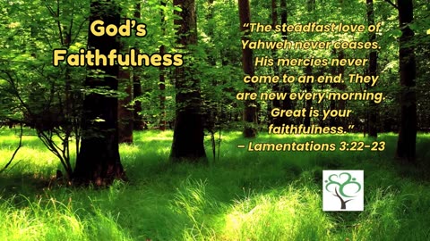 Feeling Lost? Find Hope and Clarity Through God’s Word Today - God's Faithfulness #DailyDevotions