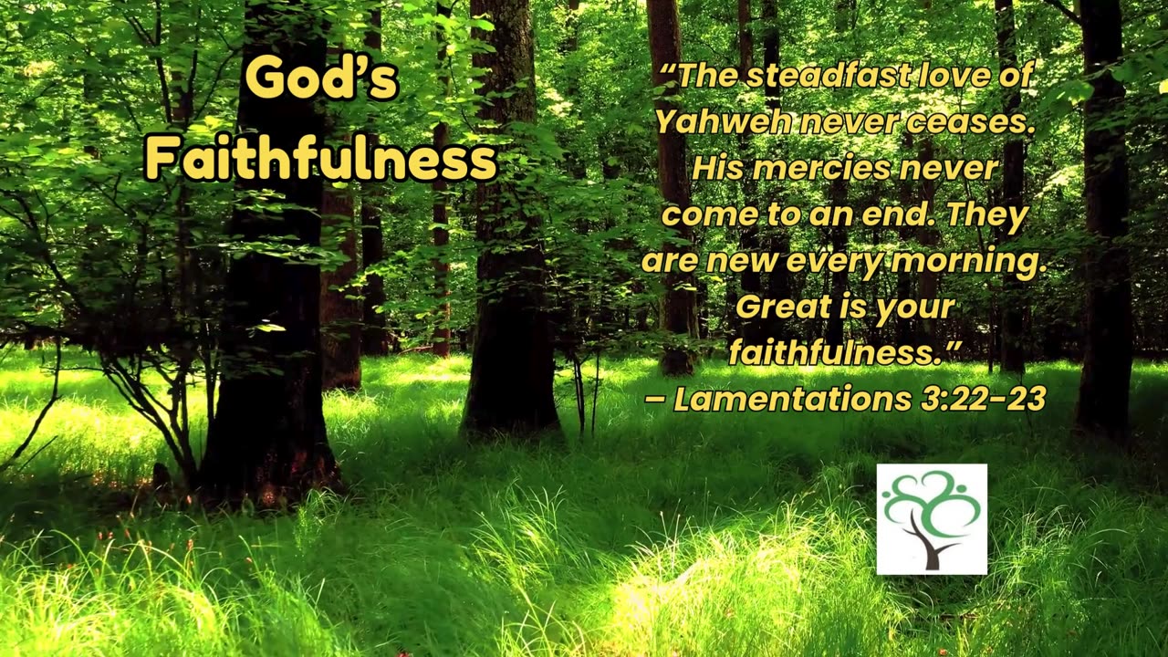 Feeling Lost? Find Hope and Clarity Through God’s Word Today - God's Faithfulness #DailyDevotions