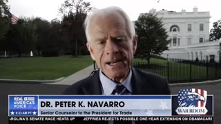 NAVARRO: I was dragged through Reagan Airport in leg irons, mug shot, handcuffs