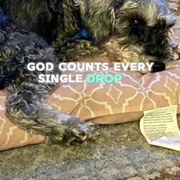 Don’t take revenge