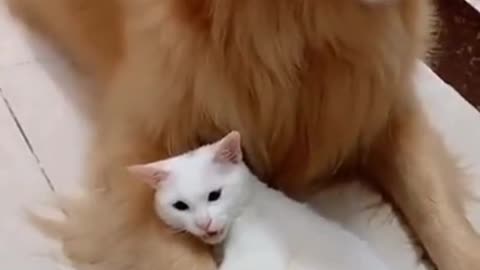 Being in a relationship with a very possessive person