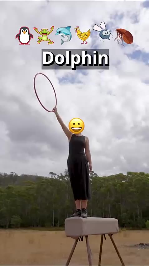 If animals did Parkour