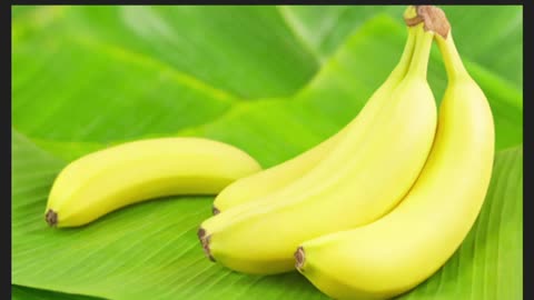 Coloquio Del 18 De Enero Del 2026