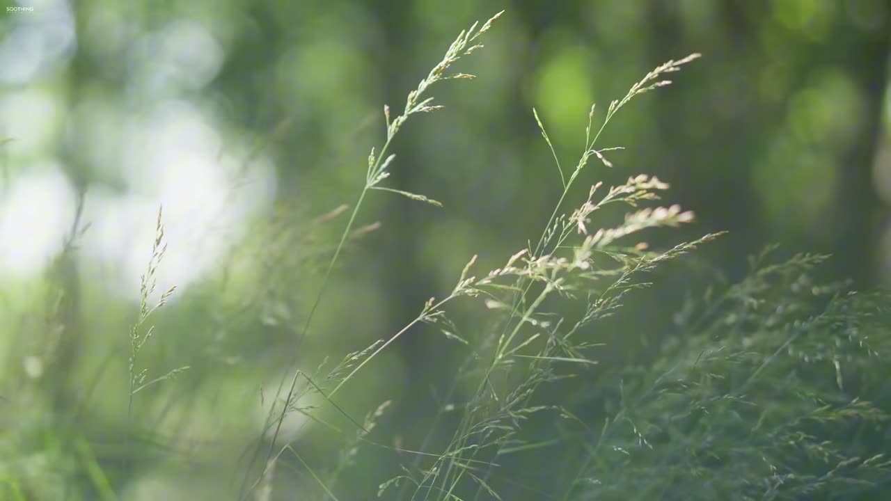 Silver Drift – serenity made of reflection.