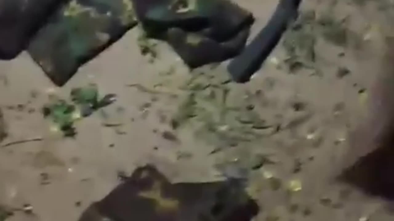 💥🏛️ Myanmar War | Resistance Forces Raid Toll Gate in Sagaing | RCF